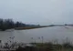 Arad: Drum judeţean închis şi sute de hectare de terenuri inundate, după revărsarea Crişului Alb