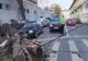 Pericol pe stradă: copac căzut în Arad, ca din senin