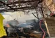 Un incendiu pornit de la o afumătoare a pus în pericol mai multe gospodării. VIDEO