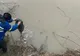 Trei bărbați prinși de jandarmi la braconaj piscicol pe râul Mureș