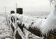 Alertă meteo de fenomene periculoase - IARNA revine în forță în România: ger și vânt puternic. Temperaturile scad la -18 grade