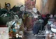 Locuințe sociale distruse de chiriași