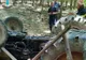 Bărbat strivit sub tractorul care s-a răsturnat peste el