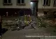 S-a apucat să taie un pom de pe domeniul public, în plină noapte. Isprava unei femei, în Arad