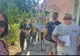 Controale ale polițiștilor arădeni la proprietarii de câini. Ce reguli trebuie respectate