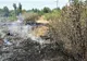 Incendiu vegetație uscată în municipiul Arad