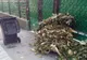 Colectarea gratuită a deșeurilor vegetale în Arad