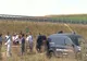 Cadavru descoperit la marginea drumului, în județul Arad