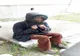 Sute de cerșetori amendați în Arad. Cel mai insistent vine din Caraș-Severin