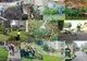 Începe curățenia de primăvară la Arad