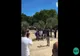 VIDEO - Dans ciudat al africanilor cu fotografia lui Klaus Iohannis - se aruncă în apă cu portretul președintelui, în timp ce strigă "Hakuna matata!"