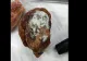 Amenzi uriașe ANPC: Carne mucegăită și pește alterat în magazine
