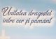 Arad: Cartea "Unitatea dragostei între cer și pământ" scrisă de către Episcopul Vicar al Arhiepiscopiei Aradului, Presfințitul Părinte Emilian Crișanul, lansată luni la ora 18.00