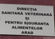Arad: Unul dintre cei mai longevivi directori de DSV din România, dr. Viorel Agud, s-a pensionat după ce a condus DSVSA Arad timp de 22 de ani