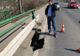 Arad: O bucată din carosabilul unui important pod peste Mureș, din Arad, s-a surpat. Viceprimarul Călin Bibarț: "mici probleme (...), dar le rezolvăm"