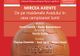 Arad: "Bătrâna Doamnă", UTA Arad, împlinește, joi, 74 de ani. Lansare de carte și o inedită expoziție. Care este povestea "Campioanei Provinciei"  