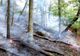 Incendiile de vegetație se înmulțesc în vestul țării