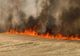 Arad: Sesizări penale pentru incendii provocate; 627 de hectare au ars în trei luni, jumătate cultivate