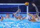 POLO MASCULIN: ROMÂNIA, ÎNVINSĂ DE SERBIA CU 21-6, LA CUPA MONDIALĂ
